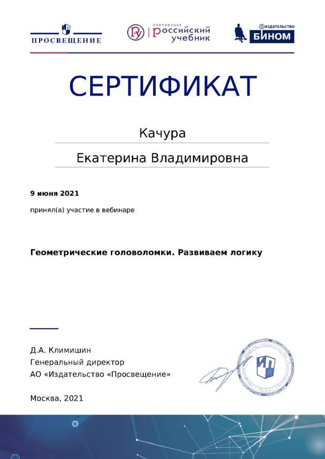 2020-2021 Качура Е.В. (Сертификат вебинар Головоломки)